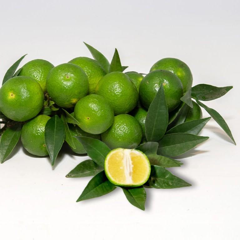 MARMELLATA DI CHINOTTO DI SAVONA MARMELLATA DI CHINOTTO DI SAVONA