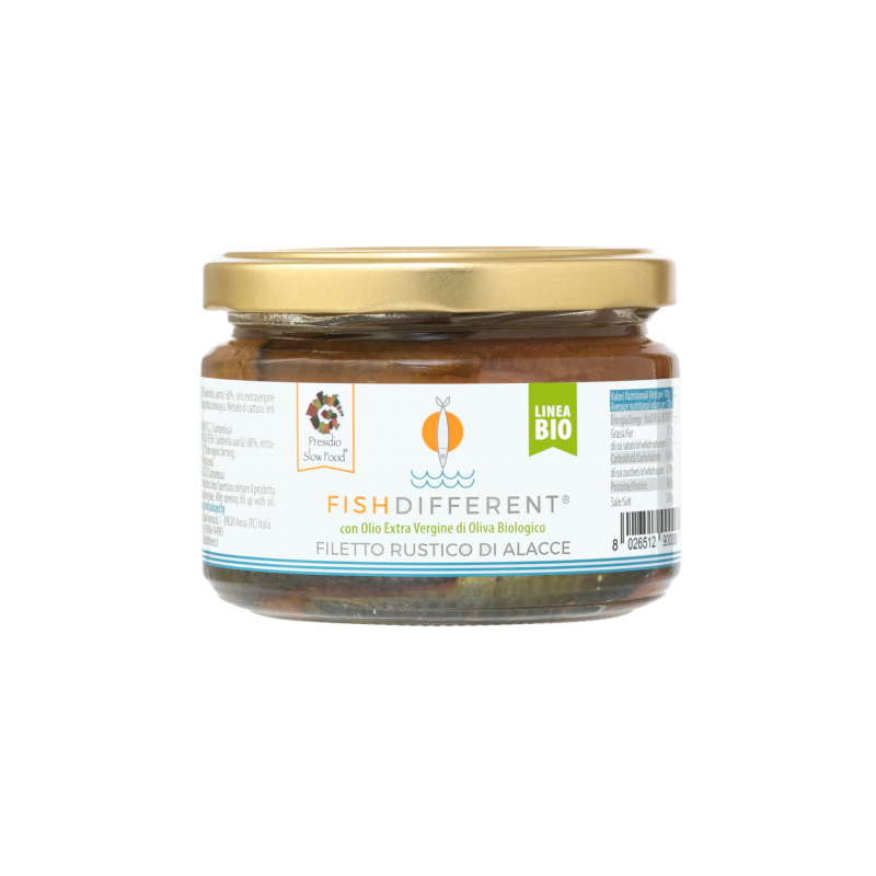 FILETTO RUSTICO DI ALACCE FILETTO RUSTICO DI ALACCE